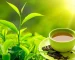 From Garden to Cup Discover the Rich Flavor of Assam Tea
