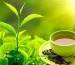 From Garden to Cup Discover the Rich Flavor of Assam Tea