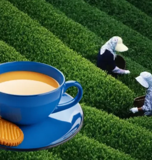 Why Assam Chai Patti Deserves a Spot in Your Daily Routine